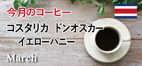 今月のコーヒー