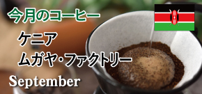 今月のコーヒー