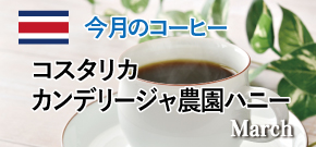 今月のコーヒー