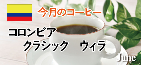 今月のコーヒー