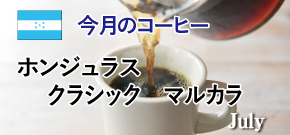 今月のコーヒー