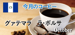 今月のコーヒー
